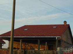 DSC00742.jpg